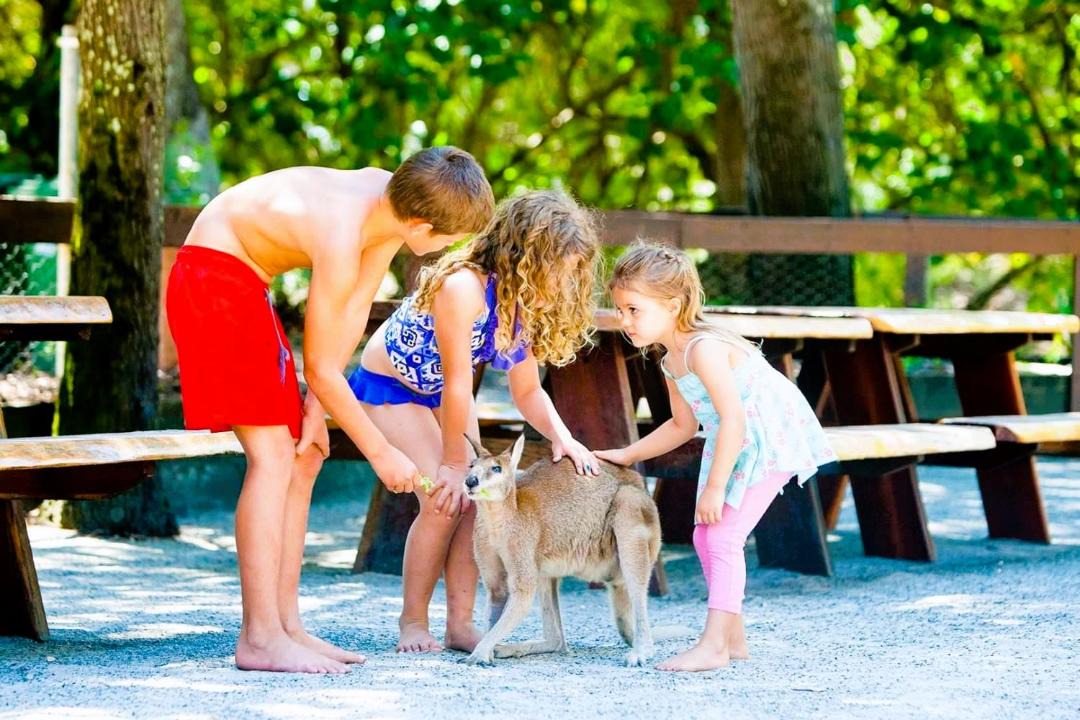 Photo of Others in Coomera