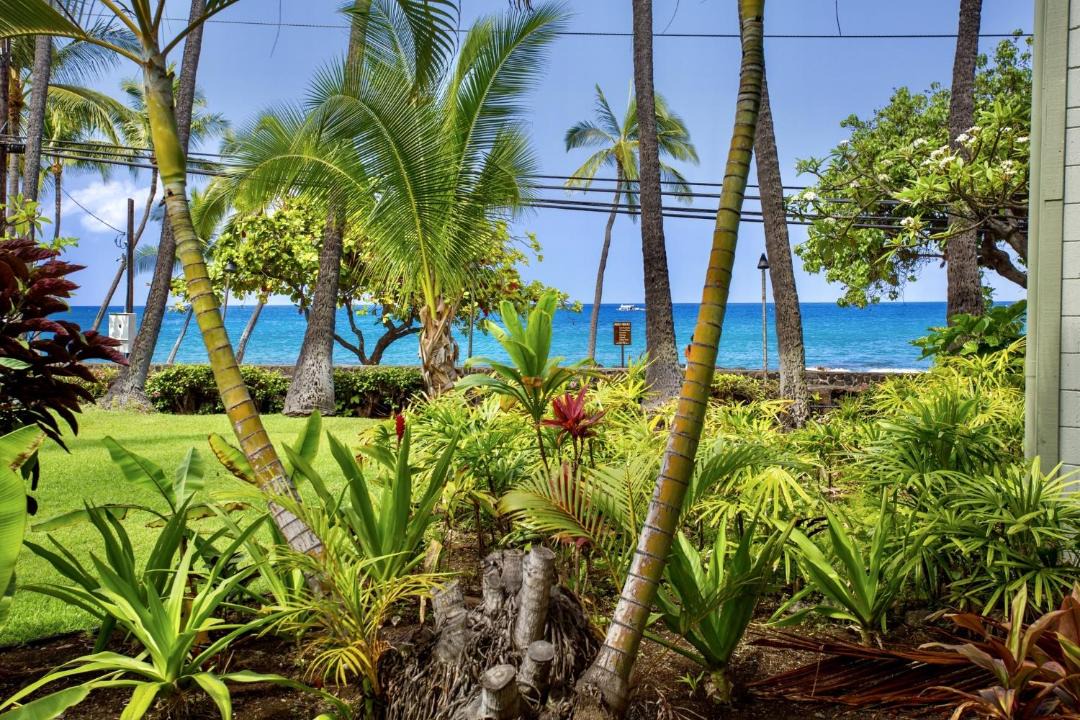 Photo of Outdoor in Historic Kailua Village