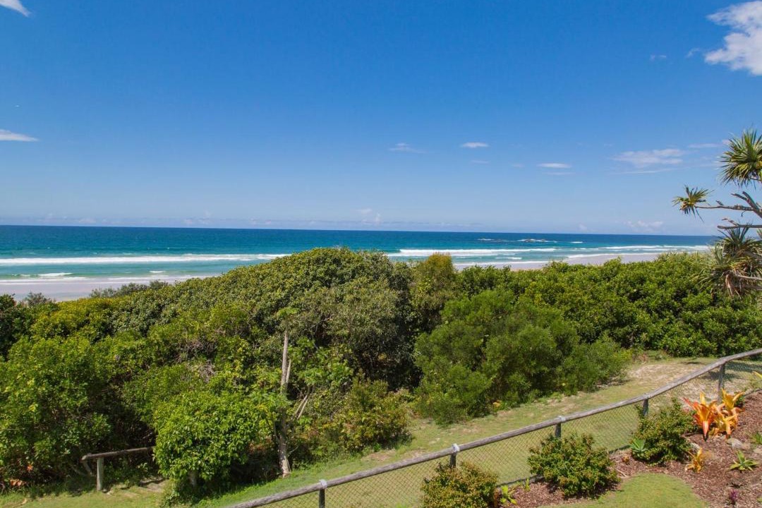 Photo of Others in Hastings Point