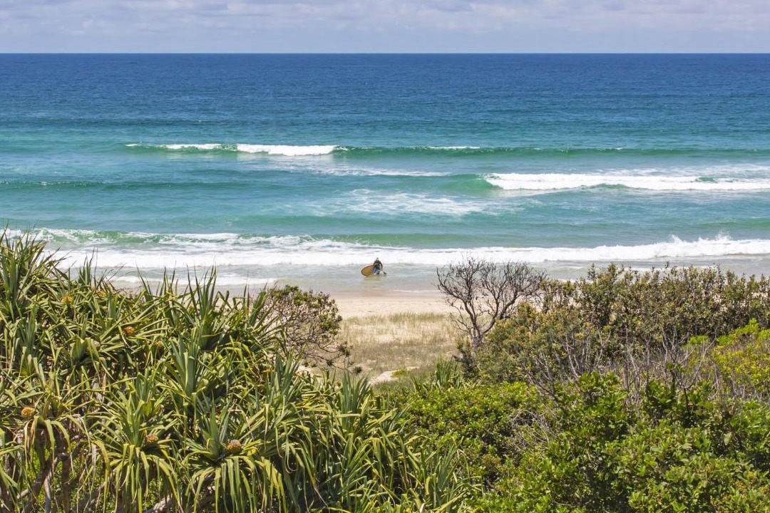 Photo of Others in Hastings Point