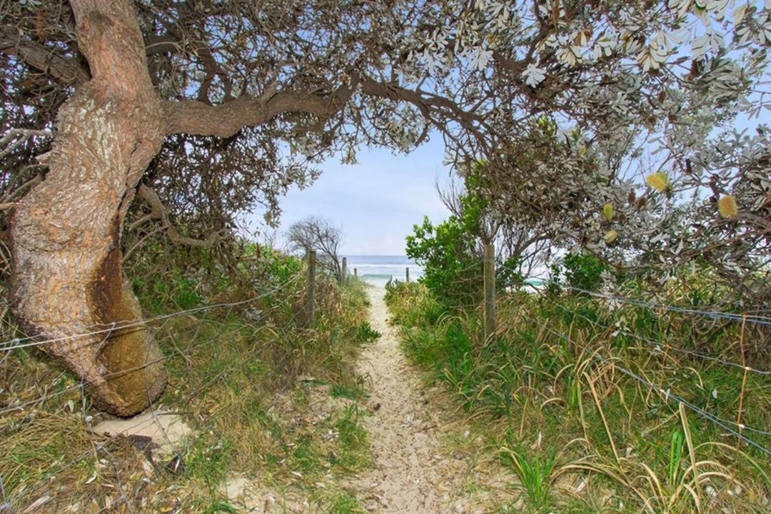 Photo of Others in Hastings Point
