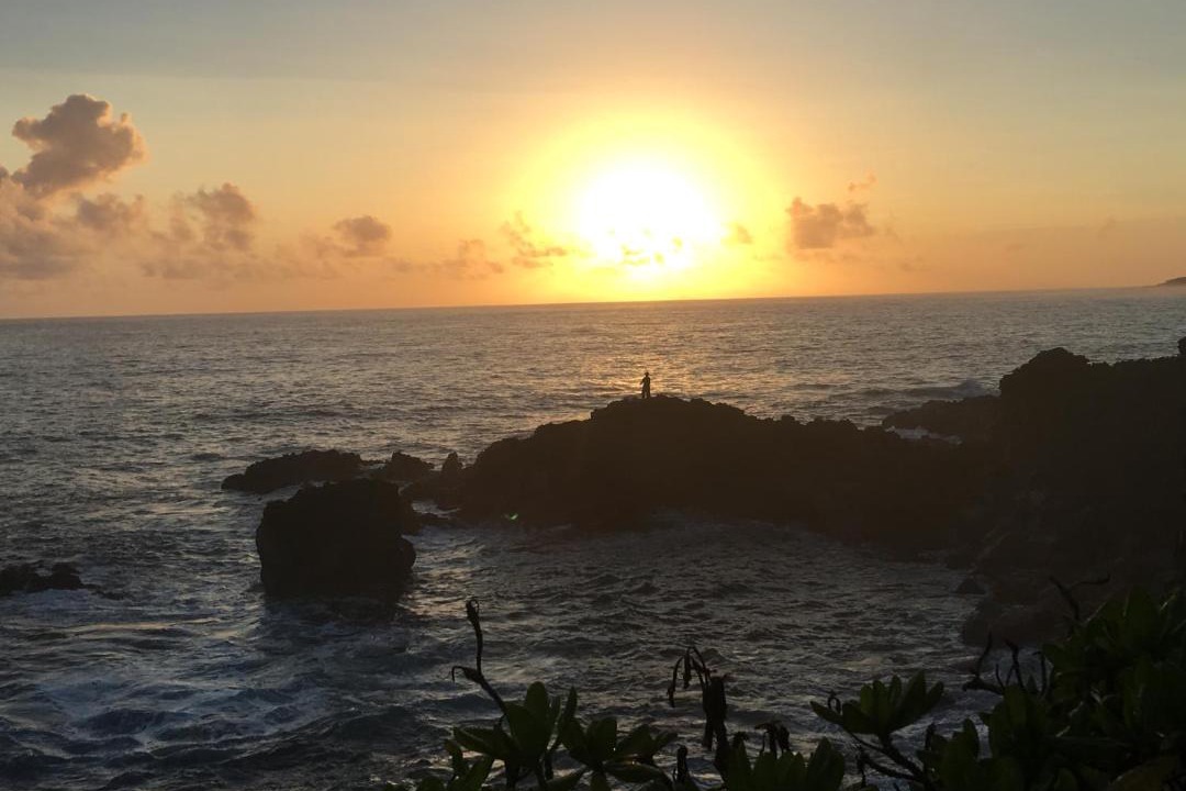 Photo of Others in Kapoho