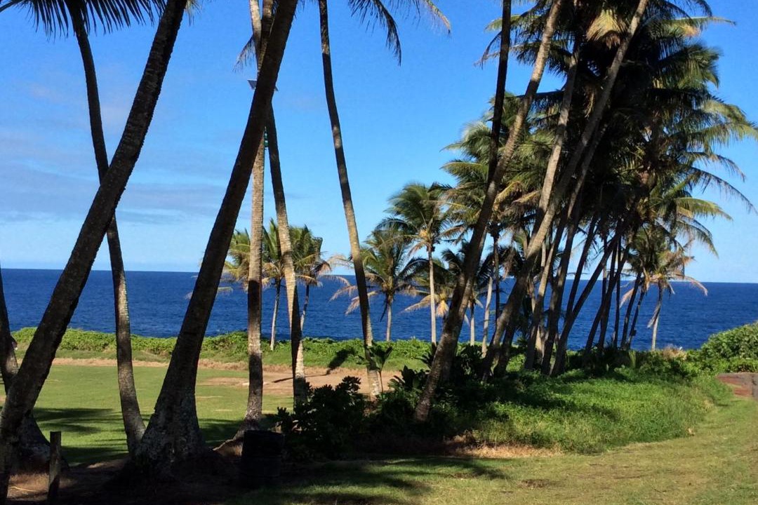 Photo of Others in Kapoho