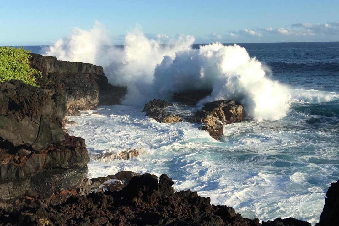 Photo of Others in Kapoho