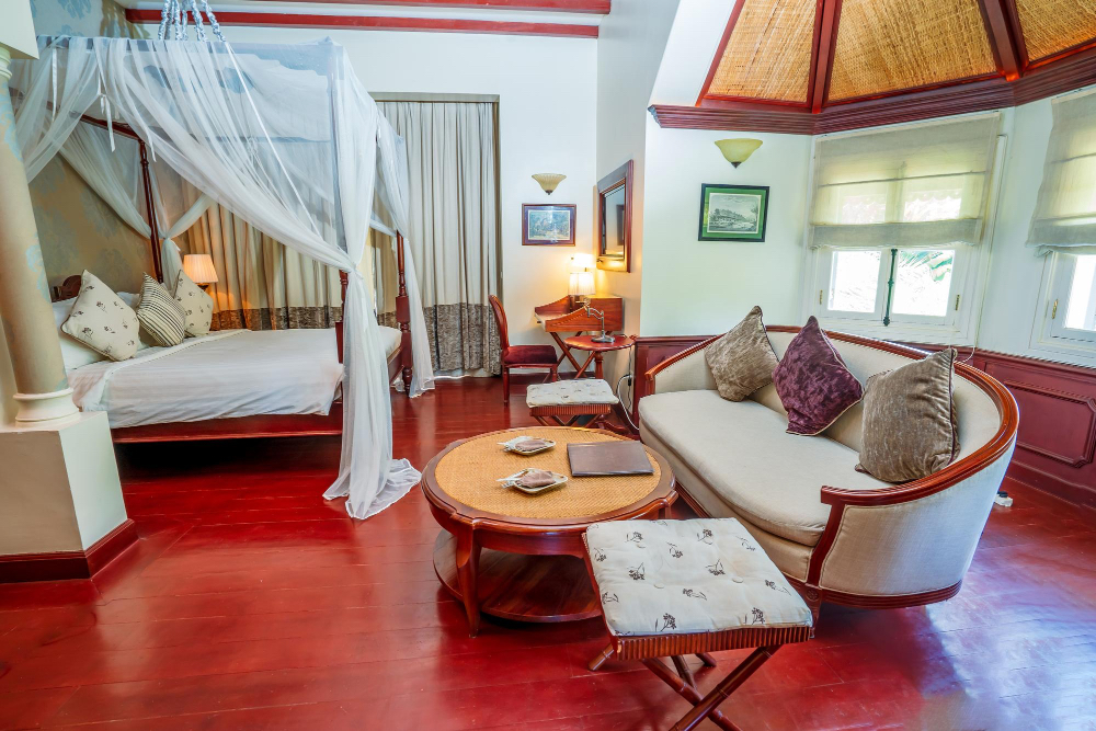 Hawaiian Monarch Upgraded Modern Studio