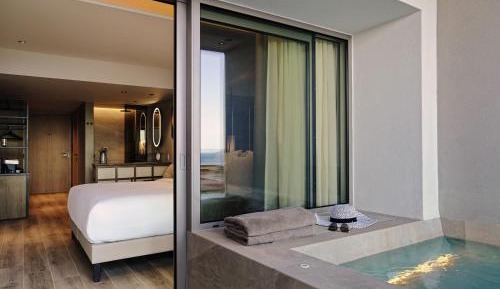 Deluxe Retreat Plunge Pool Atrium View