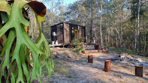 Mobile Home